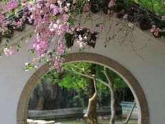 -深圳国际园林花卉博览园