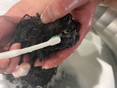 -電力宠物公司(武定路店)