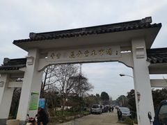 -香雪海