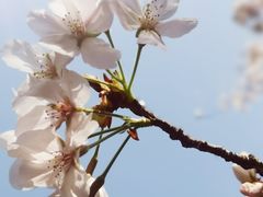-白塘生态植物园