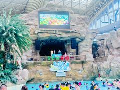 -杭州开元森泊度假乐园