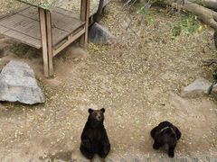 -石家庄市动物园