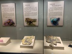 -辽宁古生物博物馆