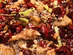 -老板恋上鱼(环山路店)