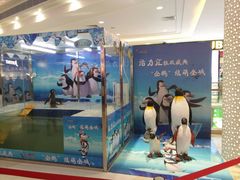 -高新·活力城Village