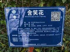 -广西壮族自治区药用植物园