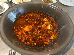 -肥鱼屯活鱼锅(惠工街店)