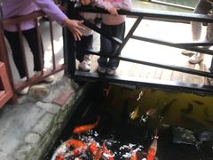 -优之名鹅城