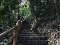 -海南热带雨林国家公园吊罗山景区