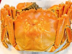 -呼吸森林·生态农庄农家乐私房菜