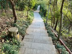 -小南山公园