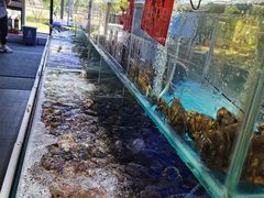 -四海蒸鲜蒸汽海鲜自助(北戴河店)