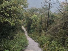 -桃花岭景区