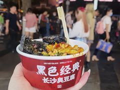 长沙臭豆腐-黑色经典臭豆腐·湖南特产(坡子街店)