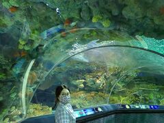 -上海海洋水族馆