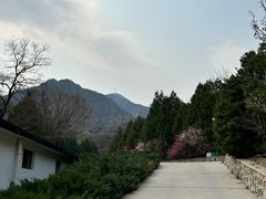 -北京鹫峰国家森林公园