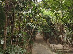 -呀路古热带植物园