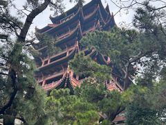 -黄鹤楼公园(黄鹤楼)