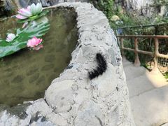 -铜仁天生桥大峡谷景区