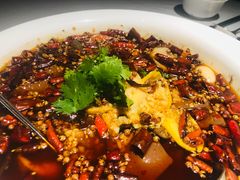 -许家菜(DT51店)