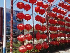 -龙福源密云水库灶台鱼