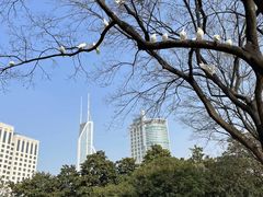 -人民广场