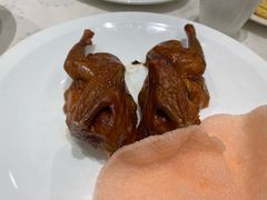 -红杏酒家(凤凰店)