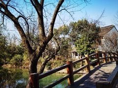 -西溪国家湿地公园