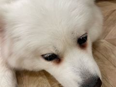 -新佳丽时尚广场
