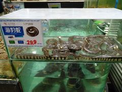 水产区-渔民新村(番禺总店)