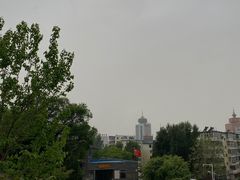 -望溪公园