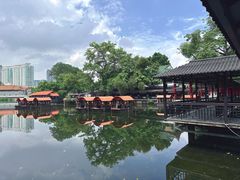 -侨美·唐荔园·40年地道粤菜