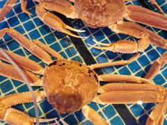 -今鲜源大酒店·中华餐饮名店(新湛路店)