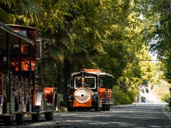 -合肥滨湖国家森林公园