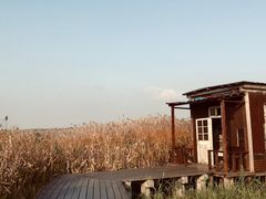 -宁波杭州湾国家湿地公园