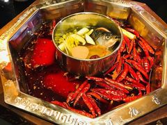 -蜀九香火锅(九眼桥店)