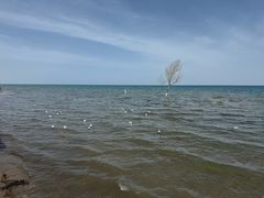 -青海湖二郎剑景区