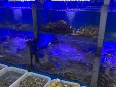 -桔子海鲜烧烤大排档(金沙滩店)