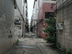 -华哥新鲜猪精品美食