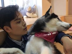 -Husky Go! 哈士奇体验馆·宠物咖啡厅狗咖