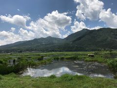 景点-腾冲北海湿地