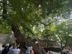 -青岛崂山太清宫