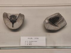 -天津自然博物馆
