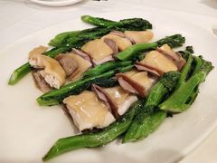 广州文昌鸡-广州酒家(文昌总店)