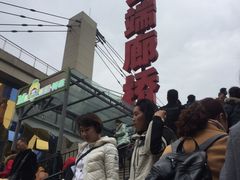 -梦幻奥陶纪景区