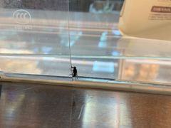 -鲍师傅糕点(文昌阁店)