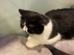 -平行世界·猫咖(首经贸店)