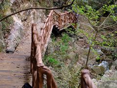 -午潮山国家森林公园