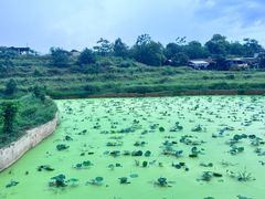 -古镇榨粉店(和平三街店)