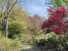 -上海滨江森林公园